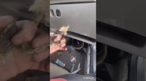 Лёгкий способ замены моторчика печки Калина 1