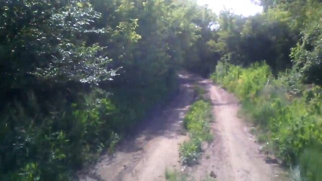 Трава рептилоидов.