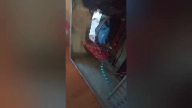 обзор на новый пк смотреть онлайн