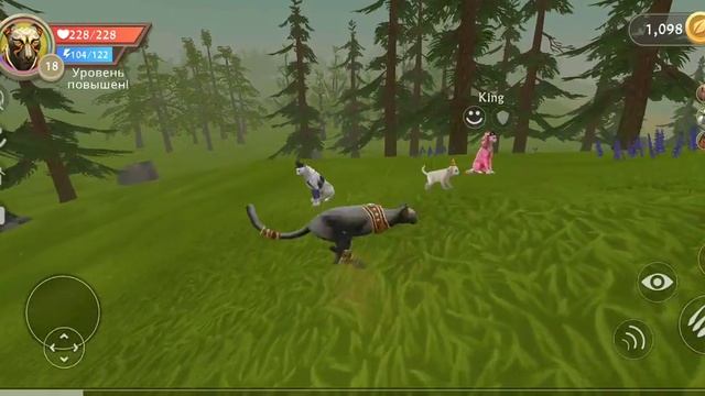 Типы играков вилд крафт #1 смотреть онлайн