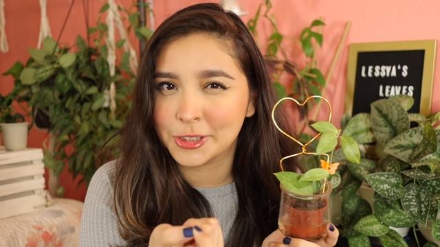 Top 10 Hoya Of 2020! | Favorite Hoyas