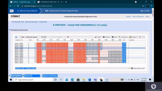 COBALT смотреть онлайн