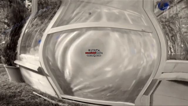 Аdvertising  Реклама Китикет Kitekat   Борис поймал пчелу In I KILLED X