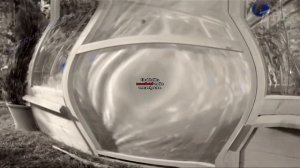 Аdvertising  Реклама Китикет Kitekat   Борис поймал пчелу In I KILLED X