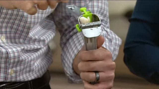 Dreamfarm Garject Self Cleaning Garlic Press On QVC