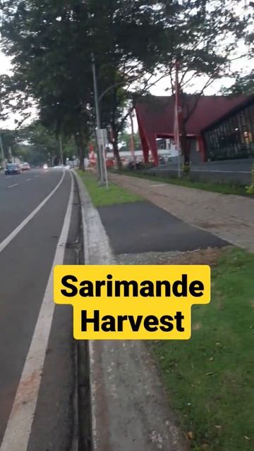 sarimande harvestcity смотреть онлайн