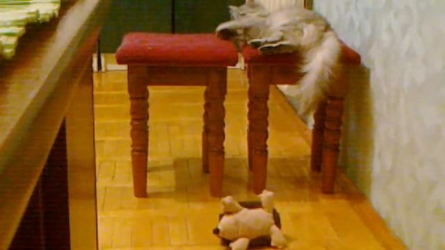 Алиса мутузит ёжика смотреть онлайн