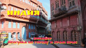 Индия, Биканер. Прогулка по городу и храм крыс.mp4