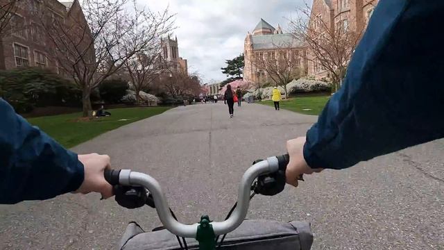 Brompton Folding Bike Tour: UW Cherry Blossoms at Peak Bloom in Seattle смотреть онлайн