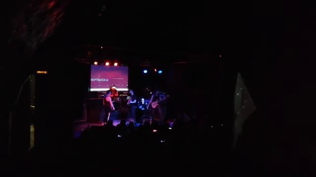 2022-3-12 Мёртвые осы - Хоррор