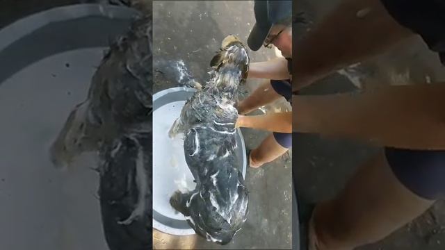 💖💖💖Огромное спасибо Анне,Адаму(Czechia),Даше и Eвгению (Great Russia),за то что вы обеспечили водой смотреть онлайн