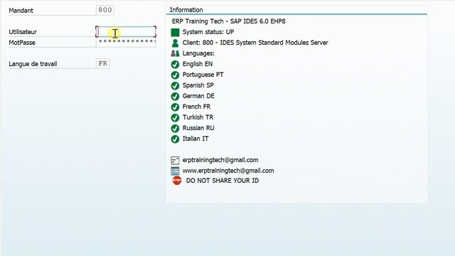 SAP : MODULE 3 : CONNECTION A SAP смотреть онлайн
