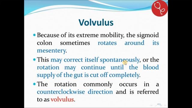 Pelvis 2 Part 2 смотреть онлайн