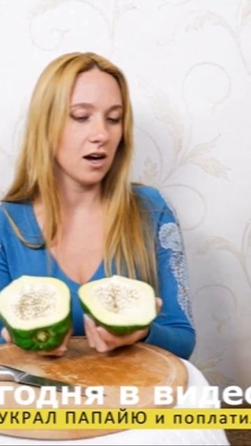 У Картун Кэт несварение желудка 😂 смотреть онлайн