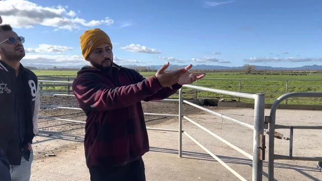 New Zealand k khet m Birthday Celebration | NZvlog | Indians in NZ | Brown Ladki @KDChaudhary смотреть онлайн