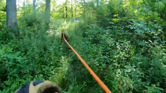 Atta Boy, Diesel! смотреть онлайн