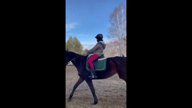 VLOG 21.03.24💋/ конный дневник смотреть онлайн