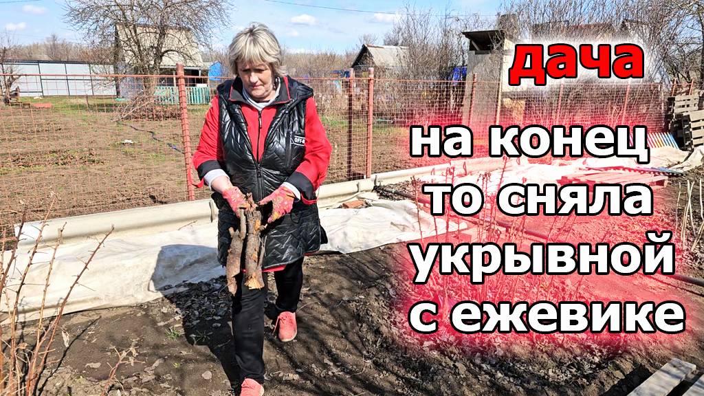 Дача.Холодный ветер не заканчивается.Убрала укрывной.Скорее бы тепло.Апрель 2025 смотреть онлайн