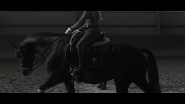 Havana [Equestrian Music Video]