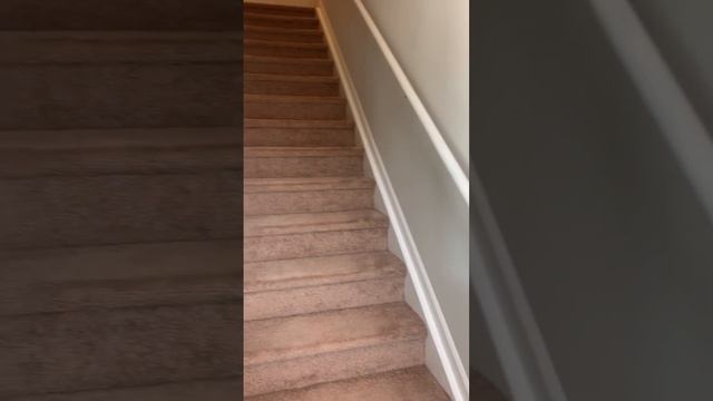 Canopy At Citrus Park - 1017 Sq. Ft. 1 Bedroom / 1.5 Bath Townhome With Garage Tour