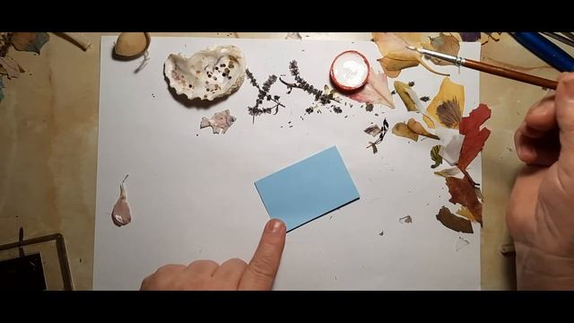 Ошибана.  Риби.  Морське дно