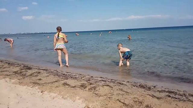 2 августа 2019 г. смотреть онлайн