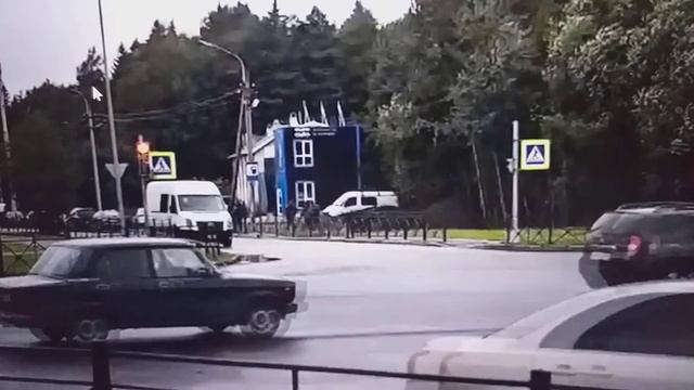 В город зашел лось смотреть онлайн