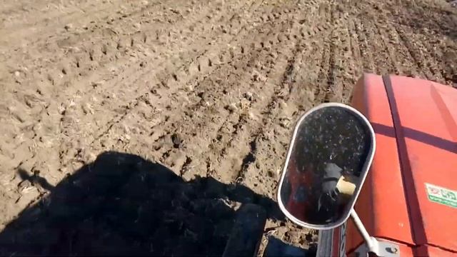 Зернова сівалка до мінітрактора в роботі .Посів люцерни смотреть онлайн