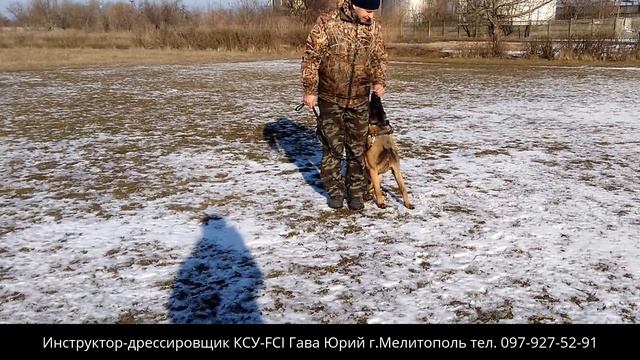 Занятие по движению рядом смотреть онлайн