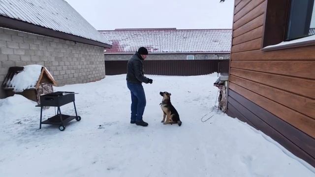Дрессировка Укропа смотреть онлайн