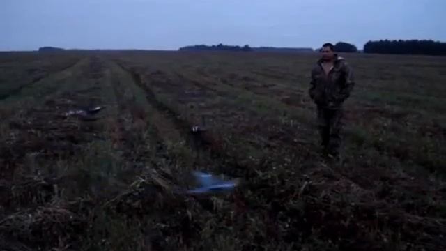 Голубиный магнит. смотреть онлайн