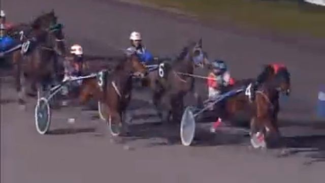 LIMOUSINE GRIF a Montegiorgio 23/12/2008 смотреть онлайн