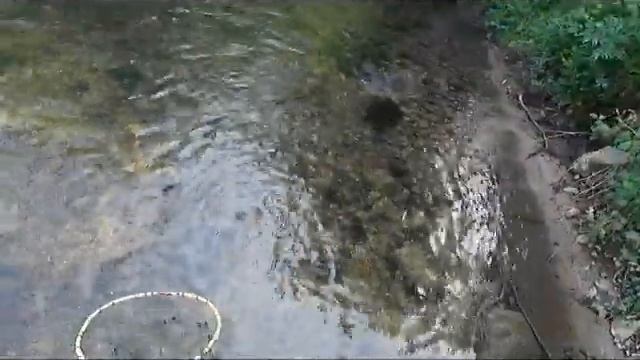 TENKARA : Petite canne = beaux poissons ! смотреть онлайн