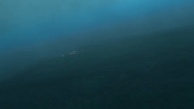 MOHO FILM 3D смотреть онлайн