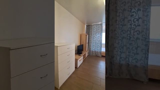 WhatsApp Video 2025-04-17 at 16.53.08 смотреть онлайн