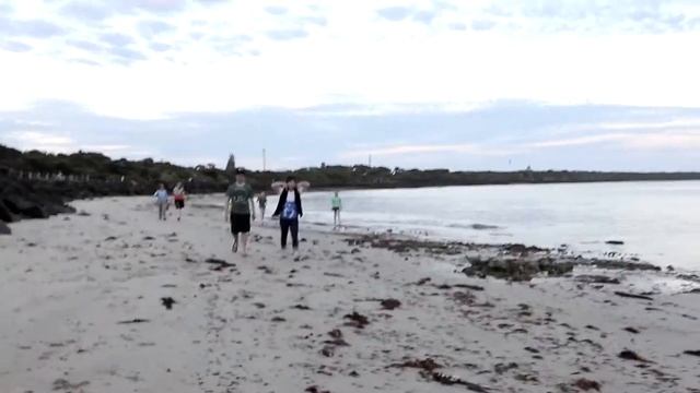 Beach House Betrayal смотреть онлайн