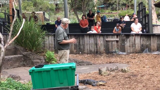 Placid Alligator смотреть онлайн