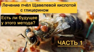 О борьбе с клещом Варроа: ЧАСТЬ 1/ Боб Бинни, Грег Роджерс (автоперевод)