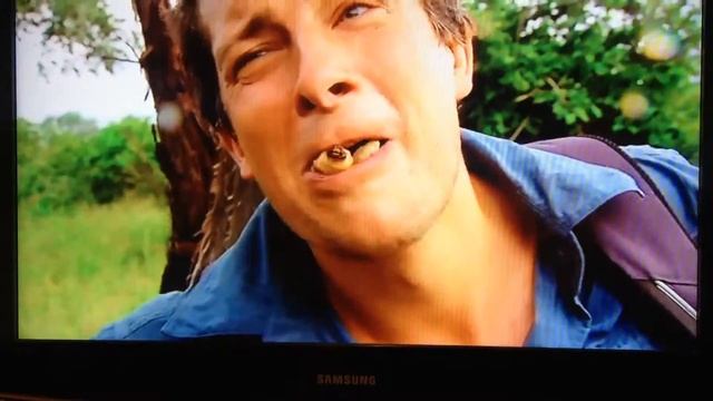 Беар Гриллс сожрал самую большую личинку (звук на максимум) смотреть онлайн