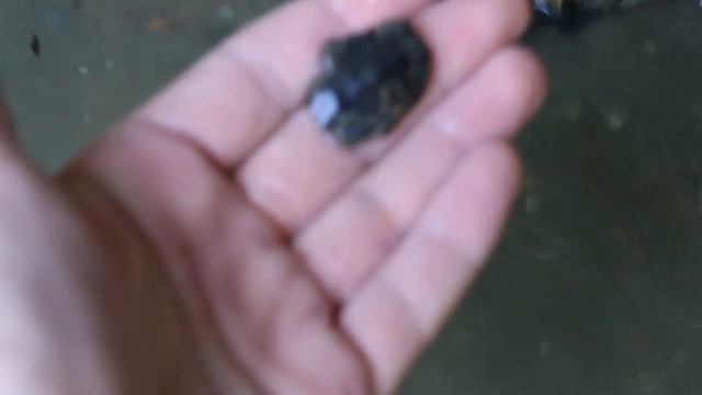 Shark Tooth Hunting! Finding Mako, Megalodon, and Great White Shark Teeth! смотреть онлайн