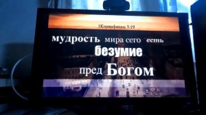 Повседневная жизнь Игнатия Лапкина