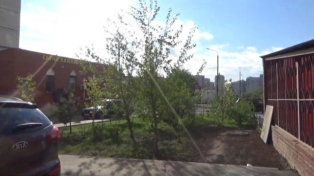 Сакура в Москве