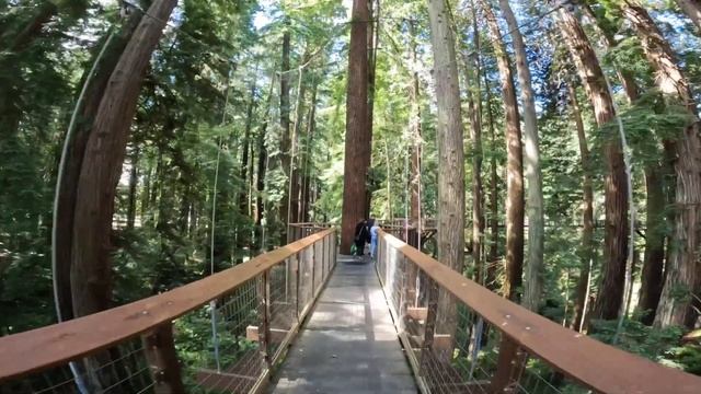 🇺🇸A MUST VISIT PLACE IN EUREKA SEQUIOA PARK & ZOO смотреть онлайн