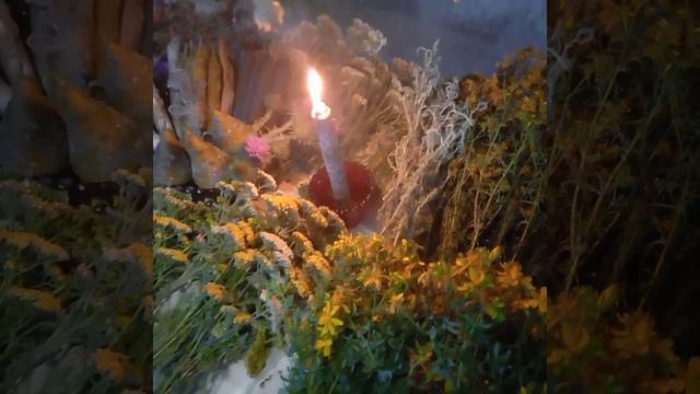 Магия воска и растений! смотреть онлайн