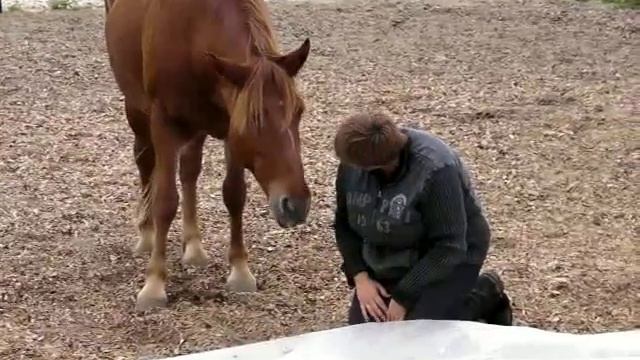 Дарья и Маска_2009.mp4 смотреть онлайн