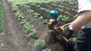 Самоходный окучник