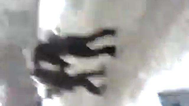 Пусть пердят #1 сори за плохое качество смотреть онлайн