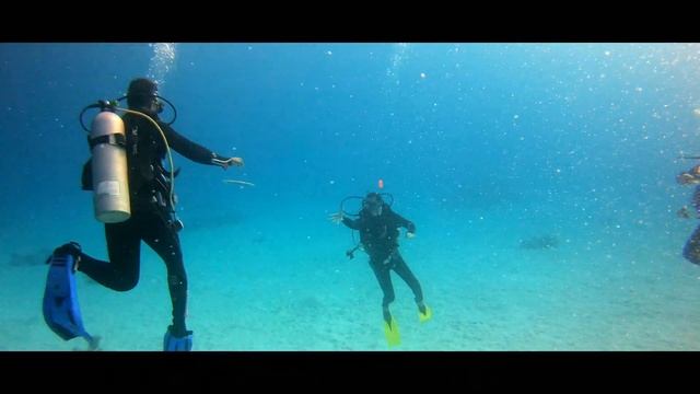 Tauchen in Ägypten / Hurghada - PADI Open Water Diver - Tauchschein смотреть онлайн
