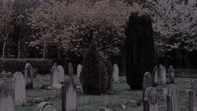 Озвучка фанфика "Моё несчастье" серия 2 #озвучка #drakomalfoy #р_е_к_о_м_е_н_д_а_ц_и_и_ смотреть онлайн