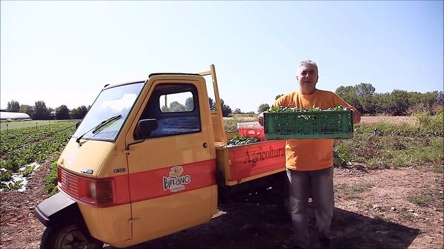 NOI E LE VERDURE смотреть онлайн